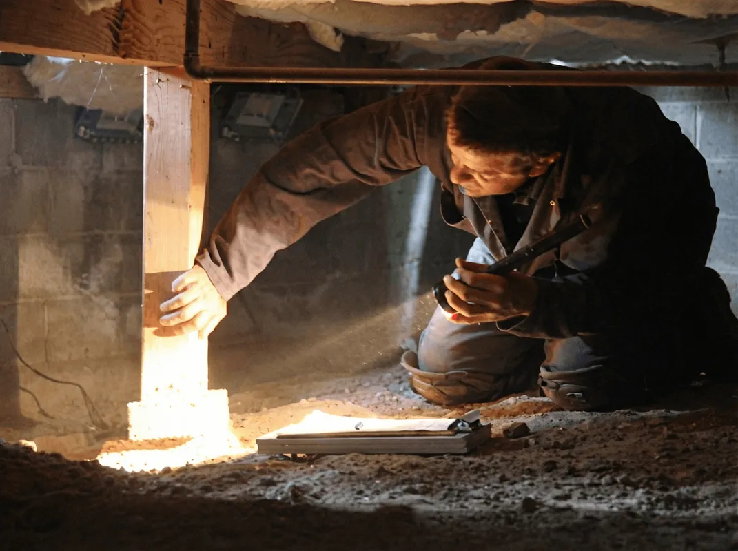 A professional inspecting wooden beams under the floor of a structure in Ogden, UT